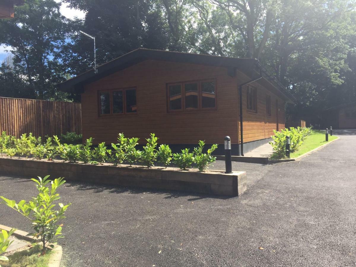 Shellow Lane Lodges كونغيلتون المظهر الخارجي الصورة